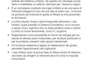 La Terapia Cranio Sacrale con approccio osteopatico di linfodrenaggio_Pagina_2